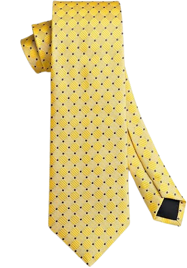 Men's Tie Plaid Tie and Pocket Square Collection Classic Woven